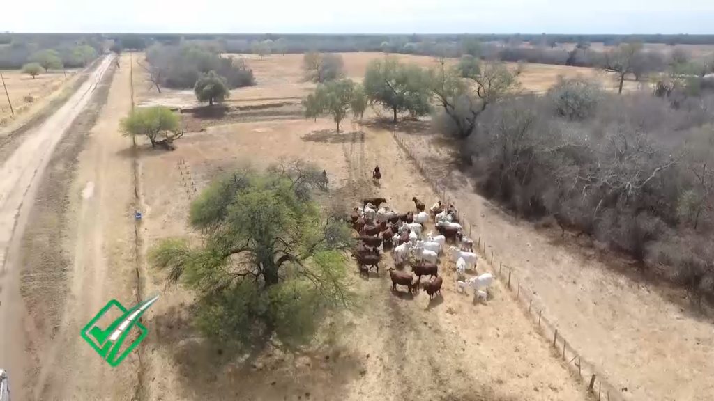 Aplican tecnología para mejorar la rentabilidad del negocio ganadero