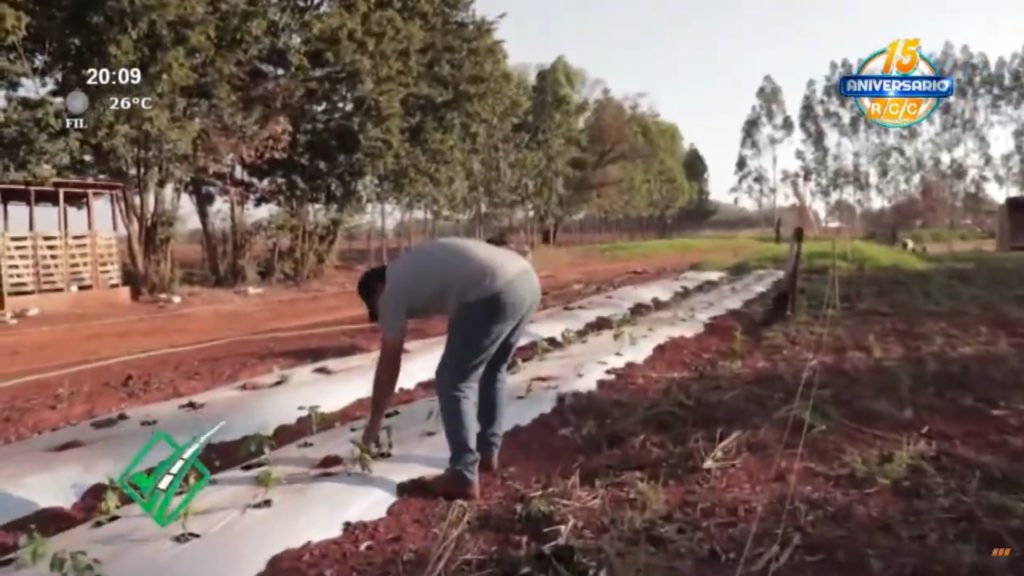 FECOPROD estrenó su primer programa de TV dedicado al sector productivo FECOPROD estrenó su primer programa de TV dedicado al sector productivo