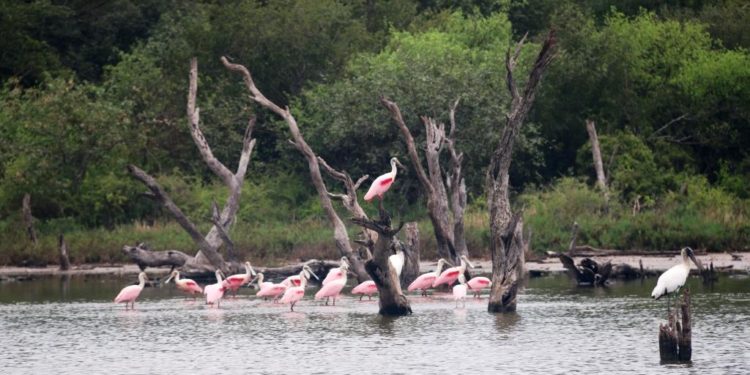 El Chaco Paraguayo y sus climas extremos