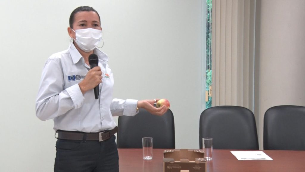 Innovación: nueva app permite trazabilidad de productos frutihortícolas en el país Innovación: nueva app permite trazabilidad de productos frutihortícolas en el país