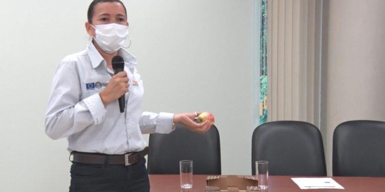 Innovación: nueva app permite trazabilidad de productos frutihortícolas en el país Innovación: nueva app permite trazabilidad de productos frutihortícolas en el país