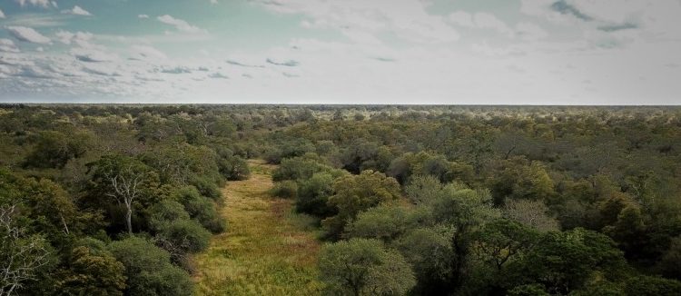 Meteorología anuncia una jornada calurosa con vientos variables Meteorología anuncia una jornada calurosa con vientos variables