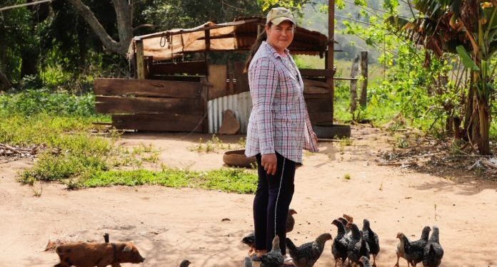 Programas sociales lograron contener la pobreza total y la extrema Programas sociales lograron contener la pobreza total y la extrema