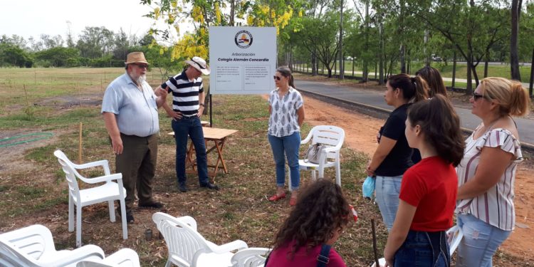 Destacan exitosa actividad de arborización