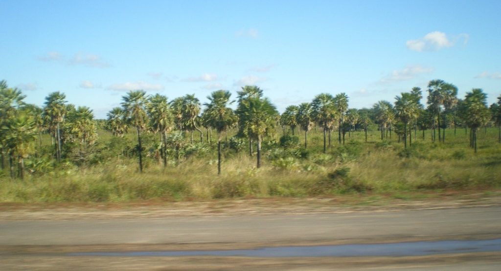Se anuncia una jornada extremadamente calurosa y con vientos del sureste Se anuncia una jornada extremadamente calurosa y con vientos del sureste