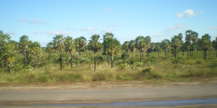 Se anuncia una jornada extremadamente calurosa y con vientos del sureste Se anuncia una jornada extremadamente calurosa y con vientos del sureste