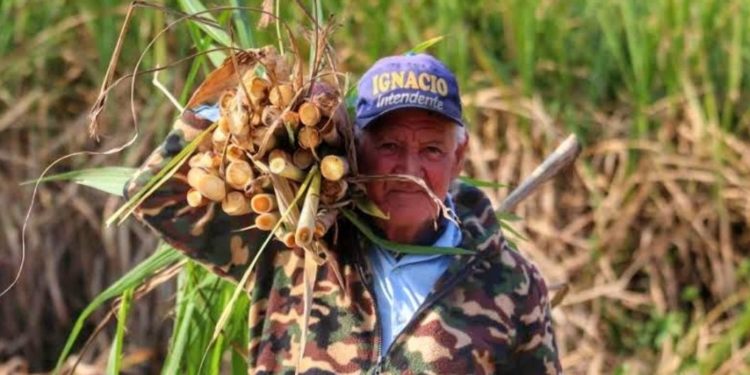 Rutas llegan a comunidades históricamente olvidadas y apuntalan el crecimiento económico Rutas llegan a comunidades históricamente olvidadas y apuntalan el crecimiento económico