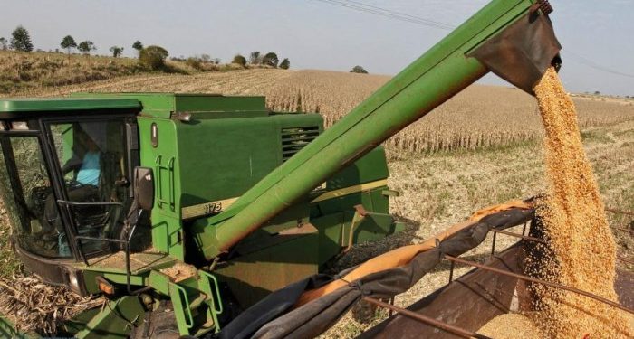 Soja cierra el año con cerca de 11 millones de toneladas cosechadas