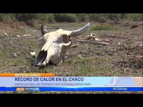 RÉCORD DE CALOR EN EL CHACO