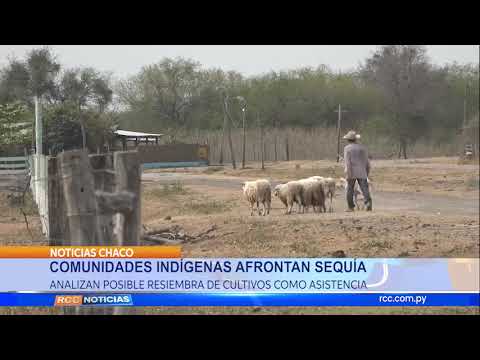 COMUNIDADES INDÍGENAS AFRONTAN SEQUÍA