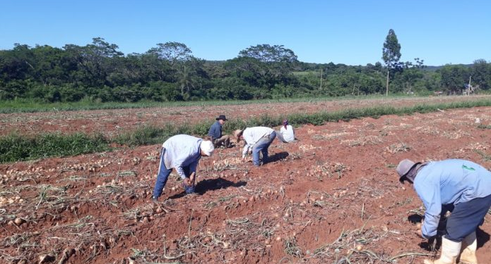 MAG alista asistencia para 21.000 productores rubros afectados por la sequía