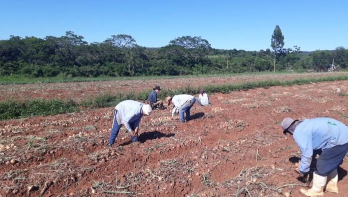 MAG alista asistencia para 21.000 productores rubros afectados por la sequía