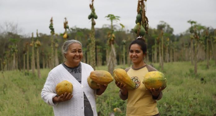 Apuntan a que familias egresen de Tekoporã y accedan a asistencias productivas