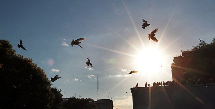 Nueva ola de calor se instala en el territorio paraguayo
