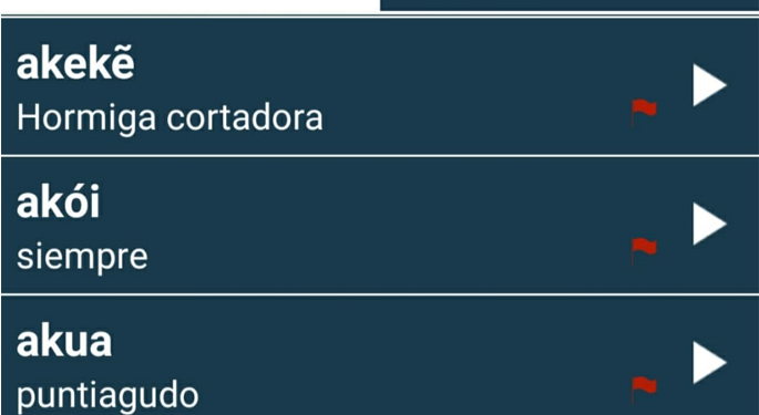 Aplicación móvil “Guarani Ayvu” superó más de 50.000 descargas