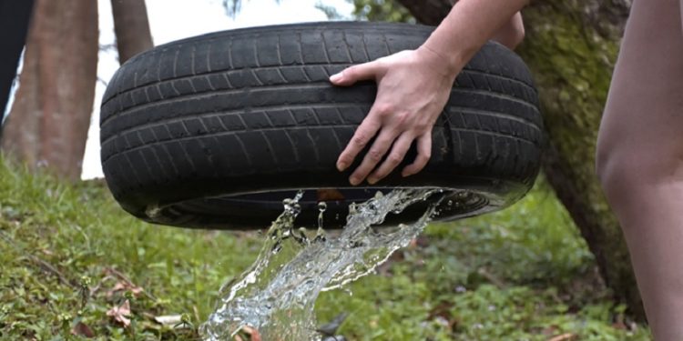 Ministerio de Salud insta a eliminar criaderos de mosquitos después de cada lluvia