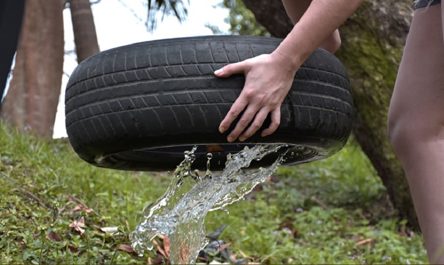 Ministerio de Salud insta a eliminar criaderos de mosquitos después de cada lluvia