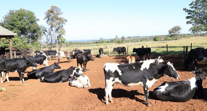 AFD dispone de US$ 100 millones para productores afectados por sequía