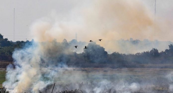 Infona afirma que el 95% de los incendios forestales son provocados e insta a realizar denuncias