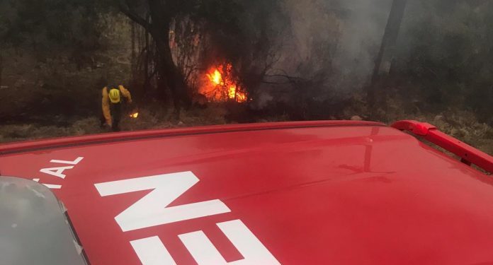 Ley de manejo de fuego permitirá subsanar vacíos que hoy existen, afirma SEN