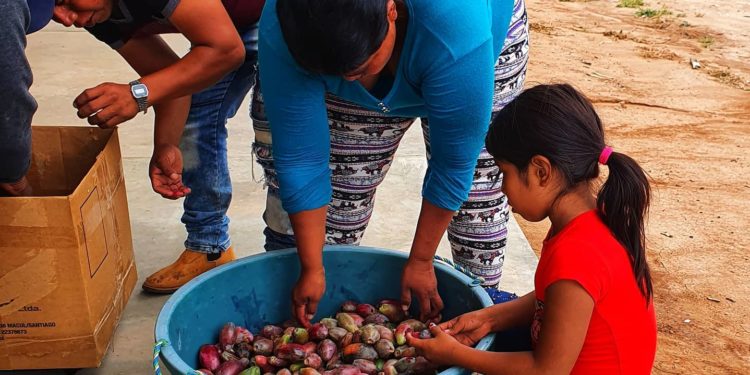 Microempresa promueve el turismo gastronómico y da trabajo a mujeres indígenas del Chaco Microempresa promueve el turismo gastronómico y da trabajo a mujeres indígenas del Chaco