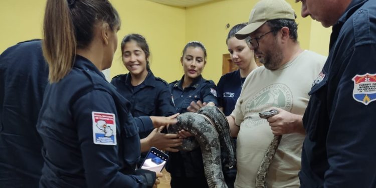 Más de 30 bomberos voluntarios fueron capacitados en identificación de serpientes Más de 30 bomberos voluntarios fueron capacitados en identificación de serpientes