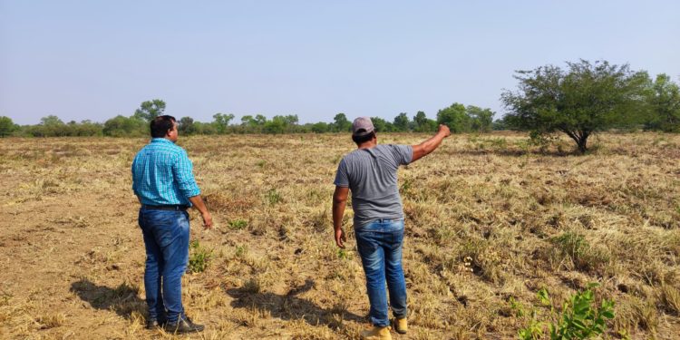 Gobernación ejecuta trabajos de limpieza de campo en comunidades indígenas Gobernación ejecuta trabajos de limpieza de campo en comunidades indígenas