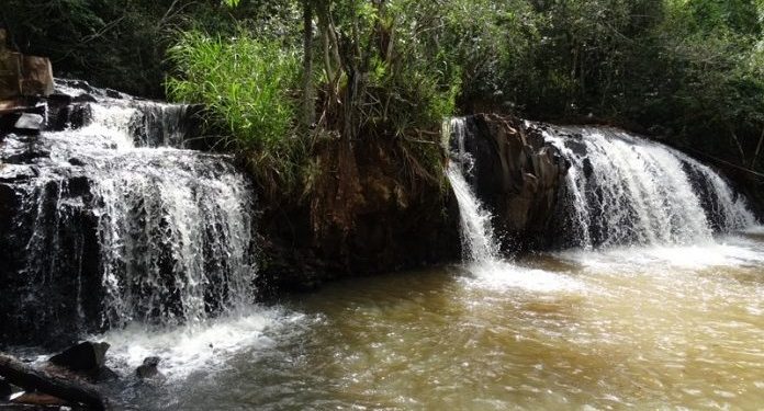 Reserva natural “Pozuelo” es hogar de varias especies amenazadas Reserva natural “Pozuelo” es hogar de varias especies amenazadas