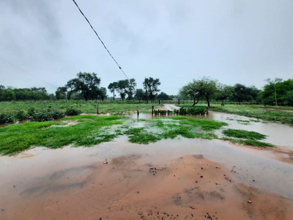 Buenas lluvias en el Chaco Central Buenas lluvias en el Chaco Central