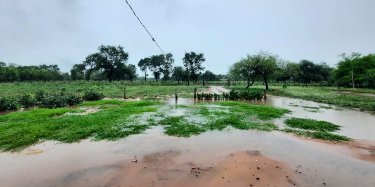 Buenas lluvias en el Chaco Central Buenas lluvias en el Chaco Central