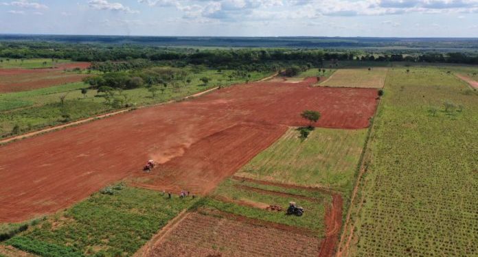 Proyecto en apoyo a la agricultura familiar genera altas expectativas Proyecto en apoyo a la agricultura familiar genera altas expectativas