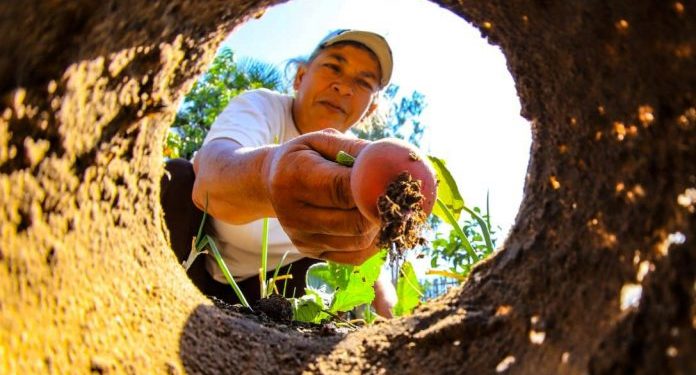 MAG aprueba el plan estratégico intersectorial de gestión de riesgos de Paraguay