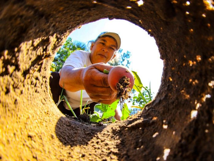 MAG aprueba el plan estratégico intersectorial de gestión de riesgos de Paraguay
