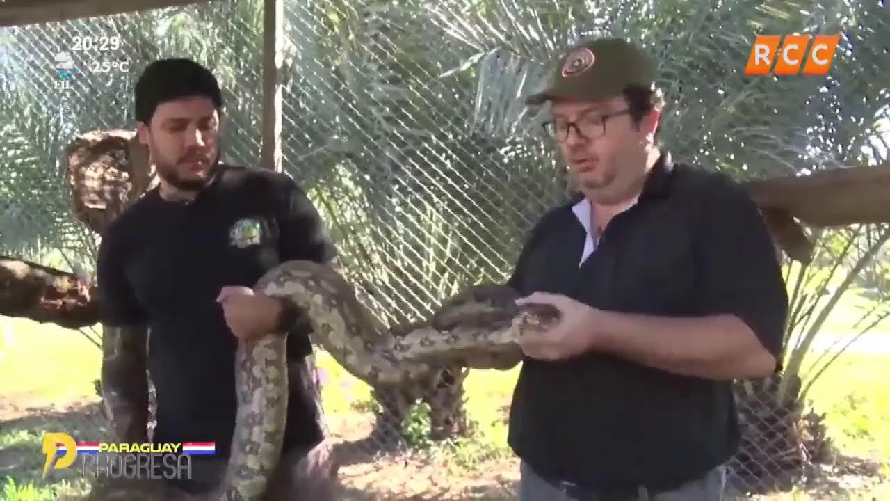 Paraguay Progresa – Refugio de Boas Urutaú #ChacoParaguayo