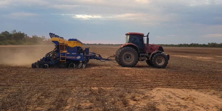 Fundación IDEAGRO celebra un año de trabajo arduo a favor del desarrollo productivo del Chaco Fundación IDEAGRO celebra un año de trabajo arduo a favor del desarrollo productivo del Chaco