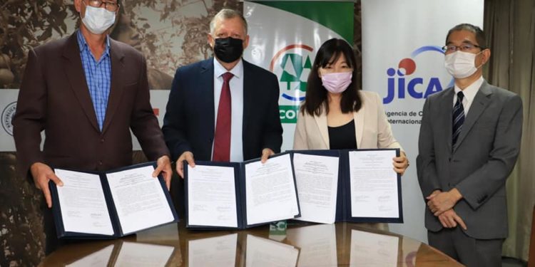 Mediante cooperación buscan fortalecer rubro porcino, yerba mate y tomate Mediante cooperación buscan fortalecer rubro porcino, yerba mate y tomate