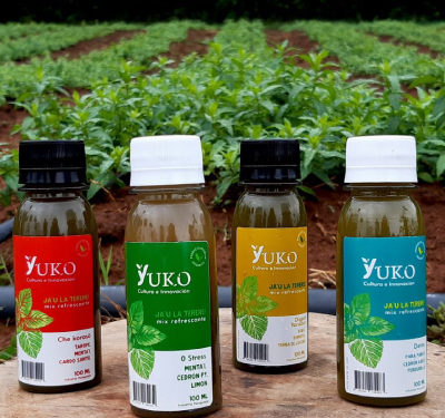 Universitarios paraguayos elaboran “Yuko” un extracto de yuyos para mate y tereré