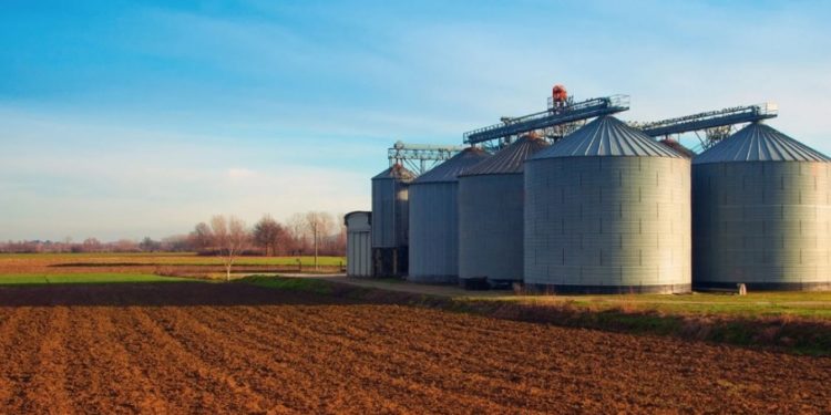 Mitos de la soja: Los cultivos de exportación no son industrializados