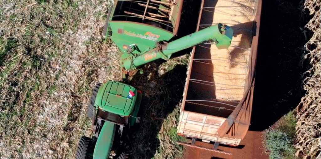 Se exportaron casi 60.500 toneladas menos de soja en el primer bimestre