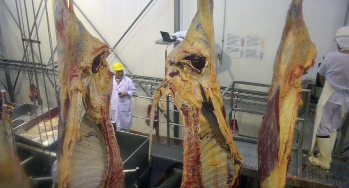 En los últimos años Paraguay redujo su dependencia del mercado ruso de la carne