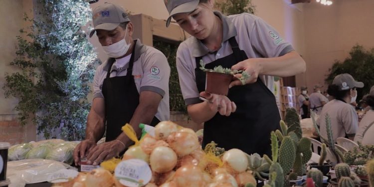 “De mi chacra a tu casa” vuelve en segunda edición en Paseo La Galería