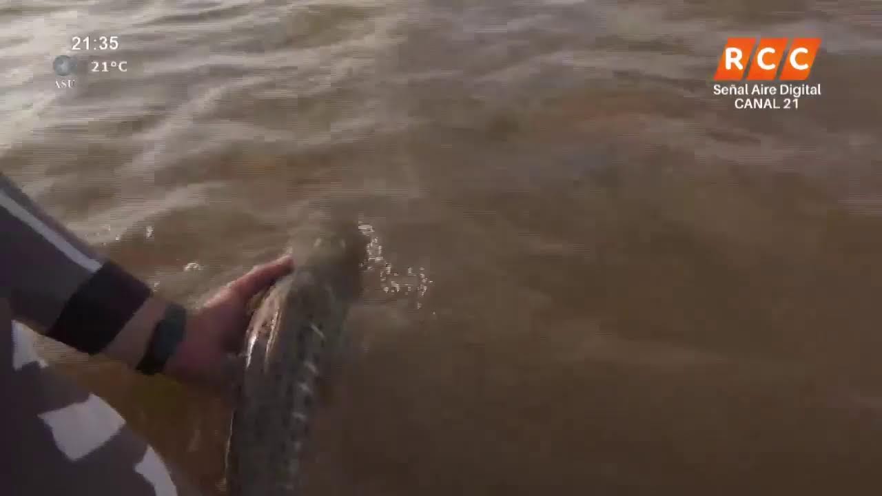 PESCANDO PARAGUAY