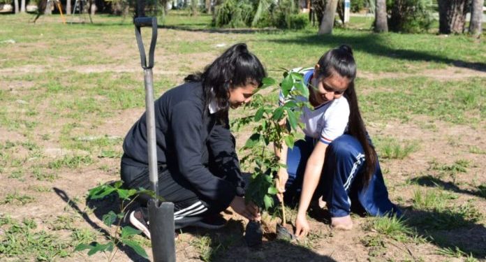 Impulsan concurso estudiantil para promover arborización de áreas públicas en Ayolas