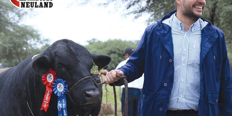 Los primeros animales ya ingresan al predio de la Expo Rodeo Neuland en su primer día Los primeros animales ya ingresan al predio de la Expo Rodeo Neuland en su primer día