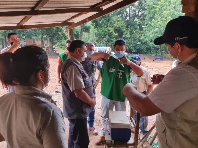 Senacsa cerró campaña con 14.800.000 cabezas de ganado inmunizadas contra aftosa y brucelosis