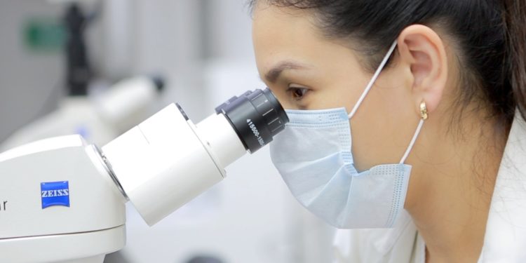 Tratamiento oportuno y multidisciplinario, pilares para la calidad de vida de los pacientes hemofílicos