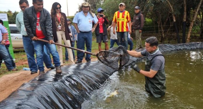 Itaipu asiste a comunidad indígena con provisión de estanques y peces juveniles
