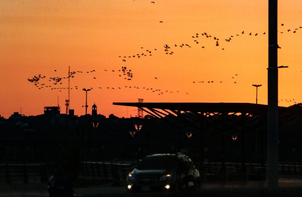 Mitad de semana con clima, húmedo y vientos moderados del norte