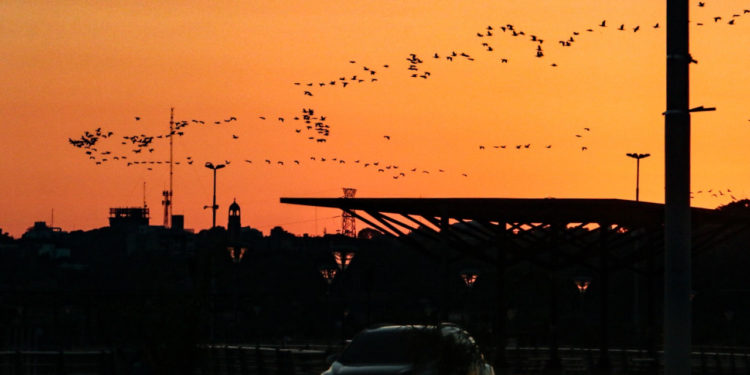 Mitad de semana con clima, húmedo y vientos moderados del norte Mitad de semana con clima, húmedo y vientos moderados del norte