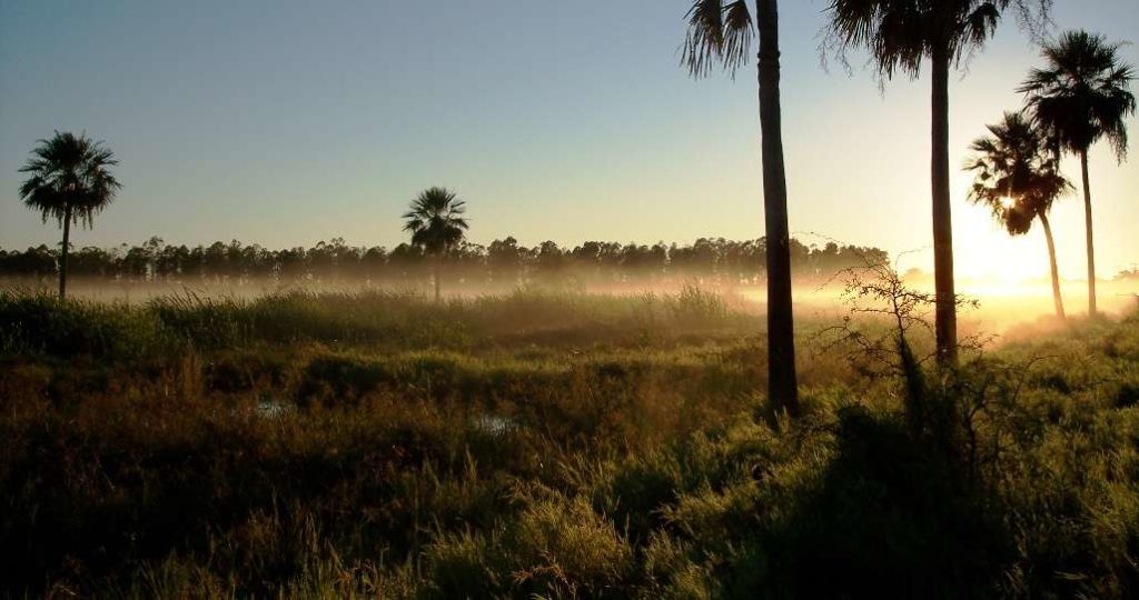 Mitad de semana con ambiente fresco a cálido, anuncia Meteorología